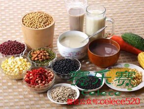 瘦身粥,減肥,飲食減肥