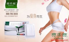 誰說胖子找不到好工作 讓賽樂賽來幫您