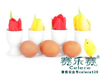 蛋白質,減肥,減肥方法