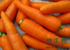 排毒瘦身的好方法 4個減肥排毒食譜別錯過