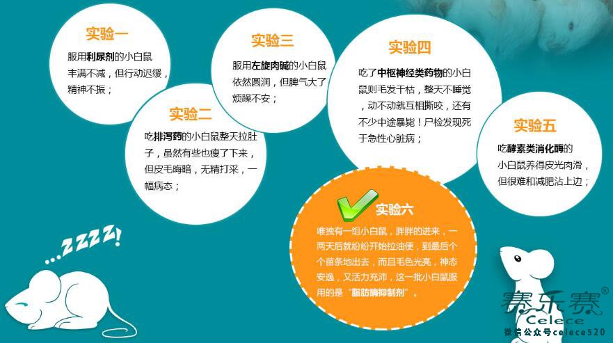 賽樂賽減肥藥